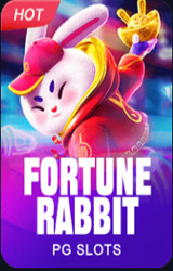 fortune rabbit