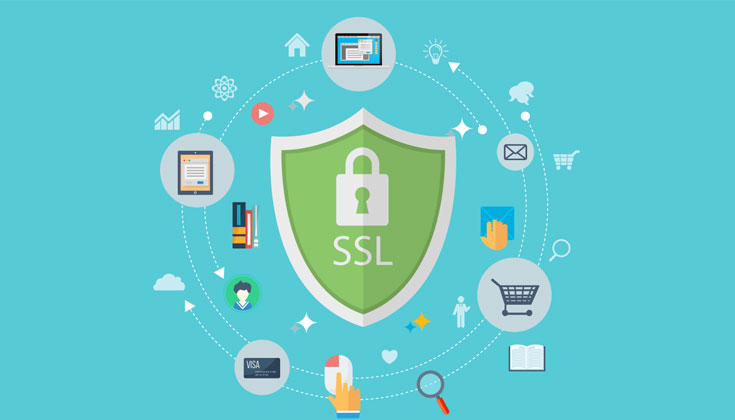 Brabet Site criptografado com SSL